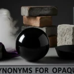 synonyms for opaque