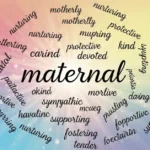 synonyms-for-maternal