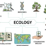 synonyms-of-ecology