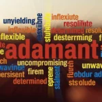 synonyms-for-adamant