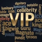 synonyms-for-vip