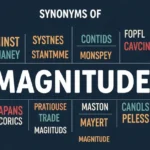 synonyms-of-magnitude