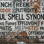 foul-smell-synonyms