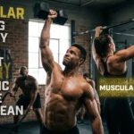 synonyms-for-muscular