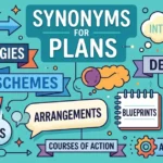 synonyms-for-plans