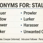 synonyms-for-stalker