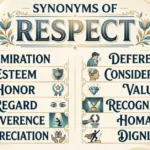 synonyms-of-respect